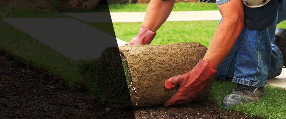 Pinetop Landscapers